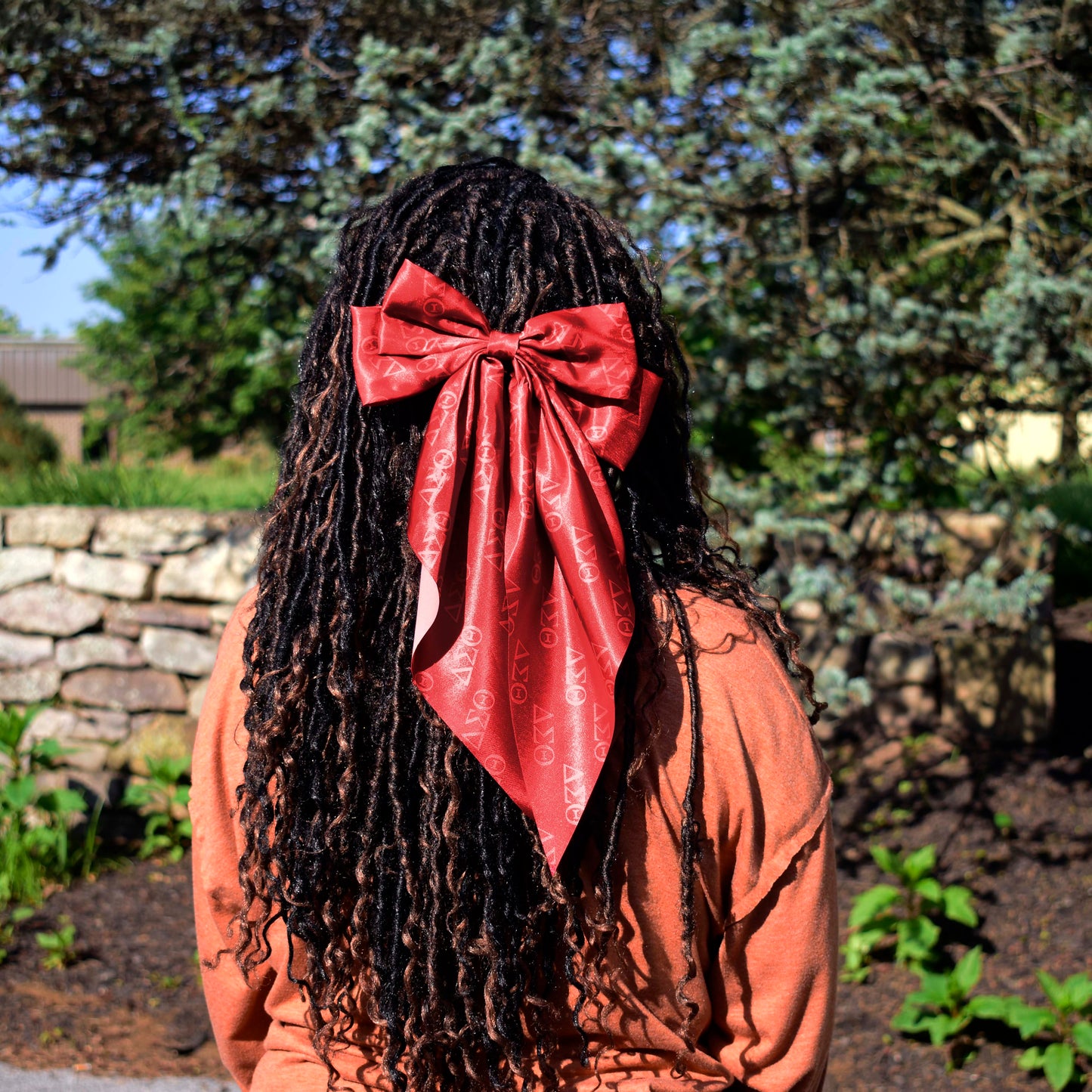 Delta Sigma Theta Greek Letters Hair Bow
