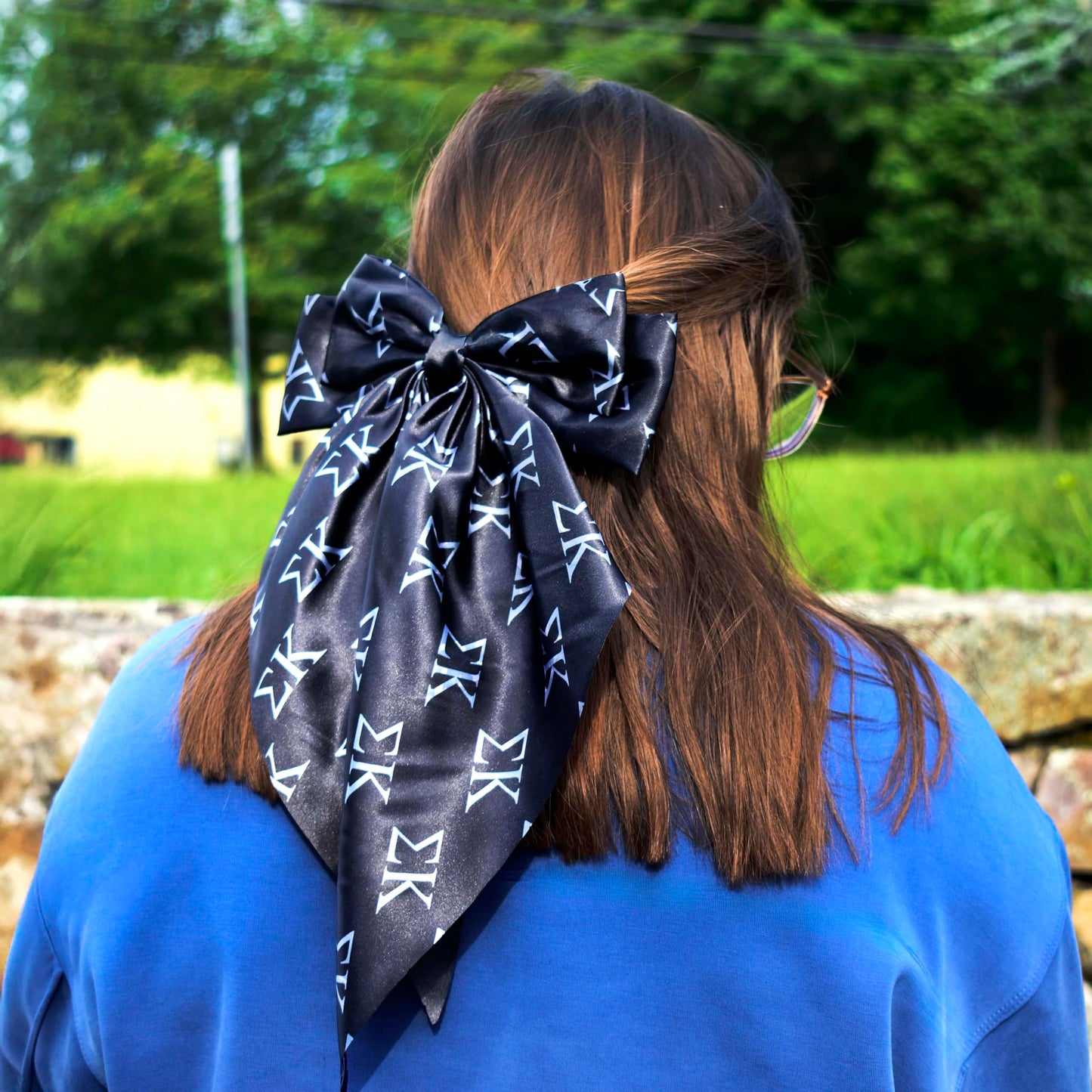 Delta Phi Epsilon Greek Letters Hair Bow