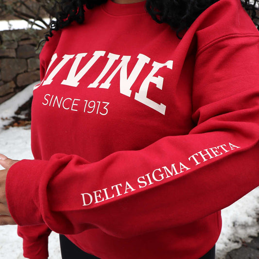 Delta Sigma Theta Sorority, Incorporated Sweatshirt- Divine and Sorority Name Design