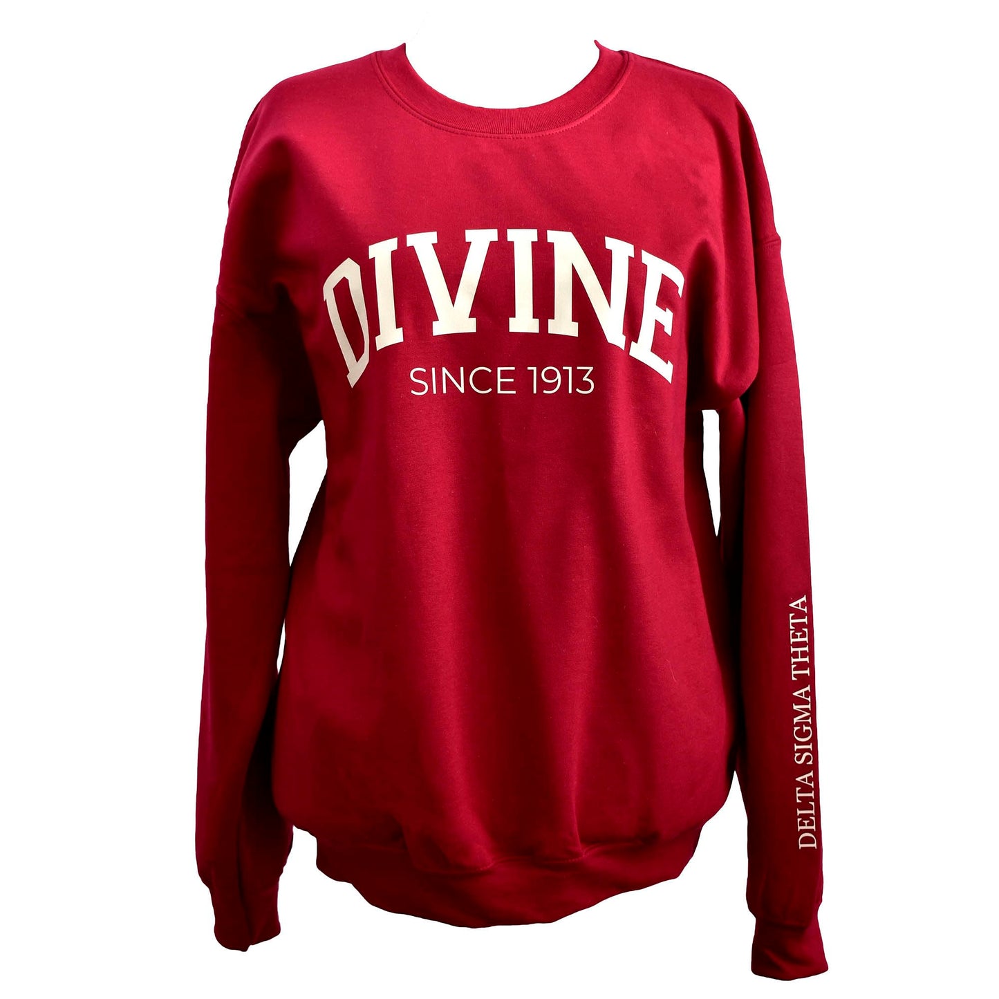 Delta Sigma Theta Sorority, Incorporated Sweatshirt- Divine and Sorority Name Design
