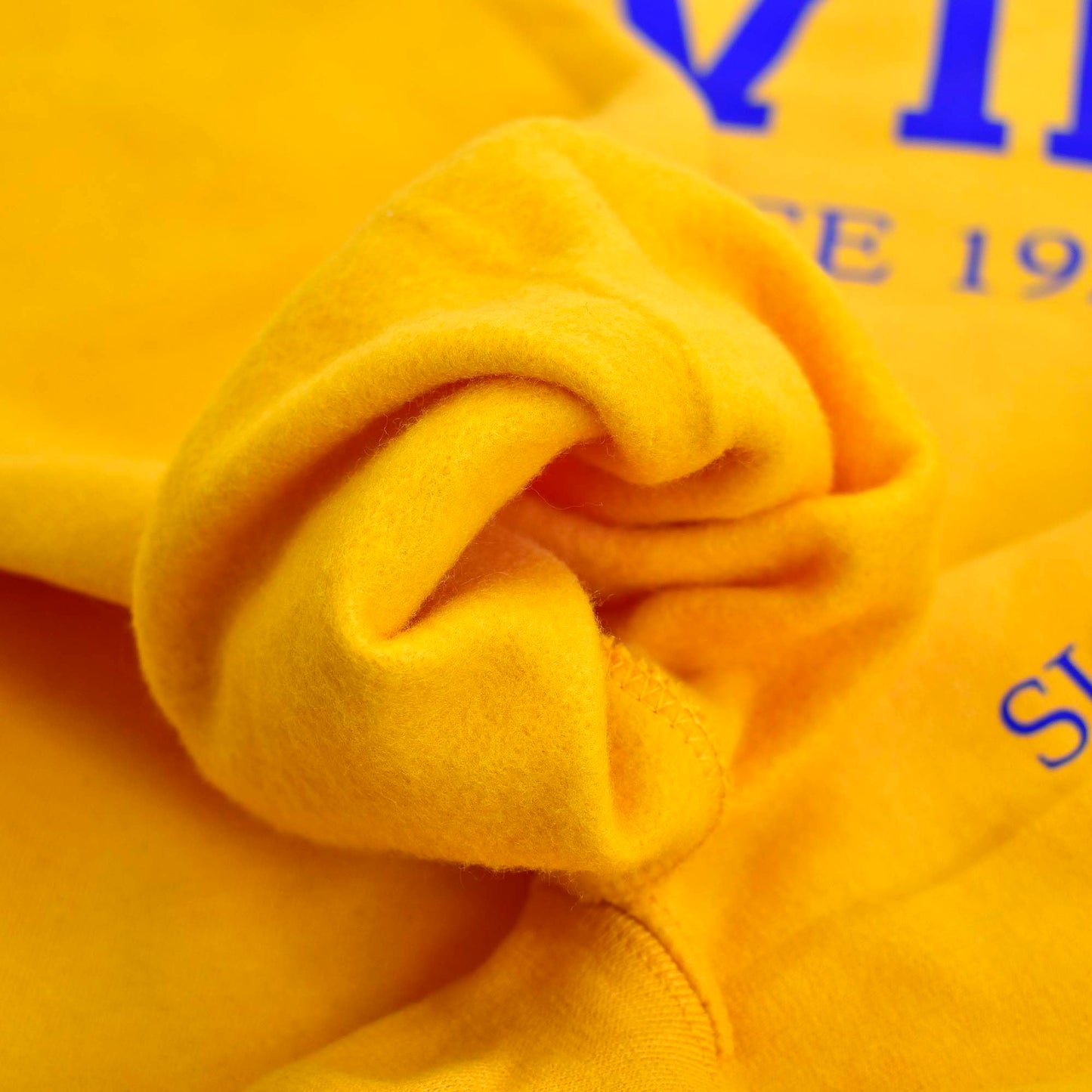 Sigma Gamma Rho Sorority, Incorporated Sweatshirt- Divine and Sorority Name Design