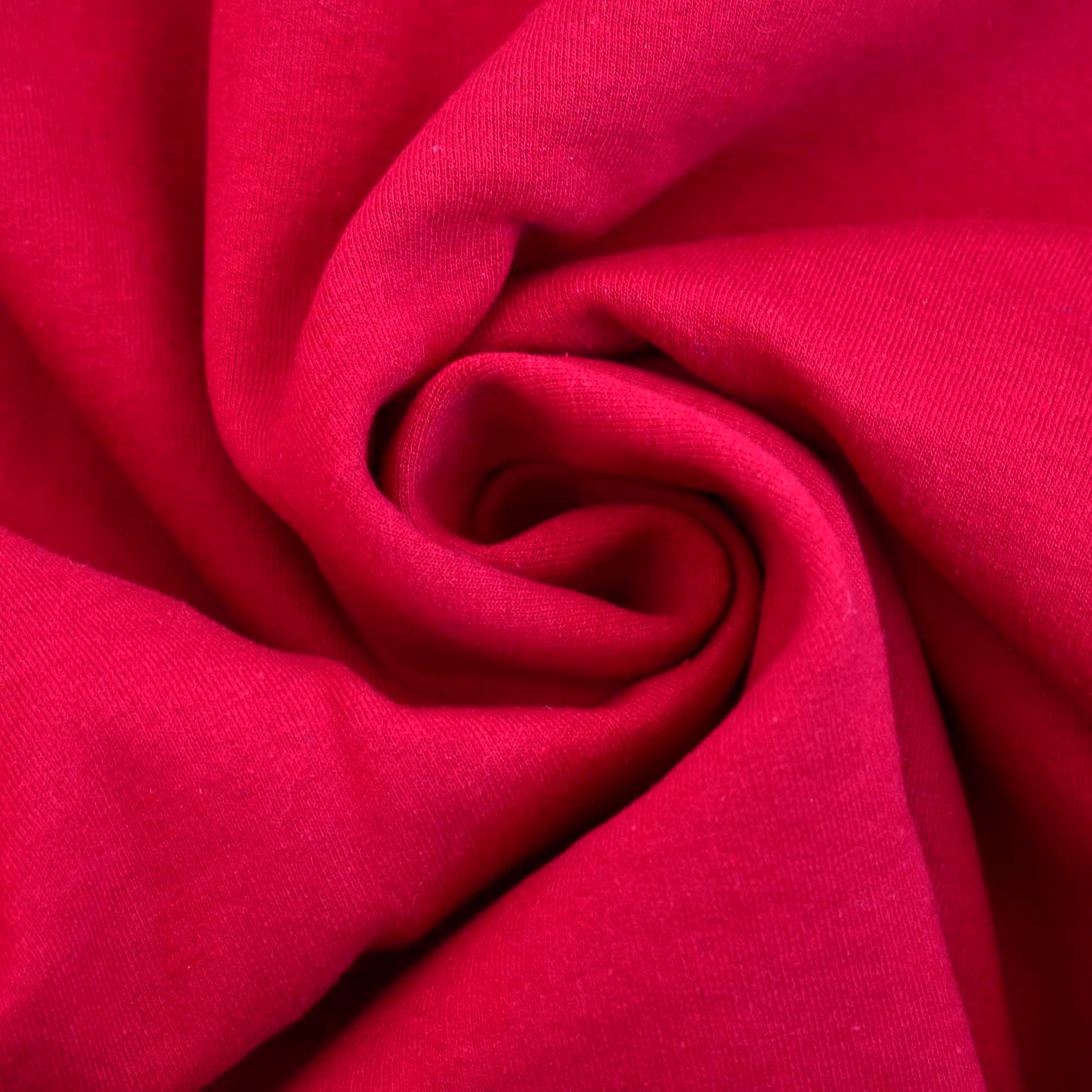 Delta Sigma Theta Sorority, Incorporated Sweatshirt- Divine and Sorority Name Design