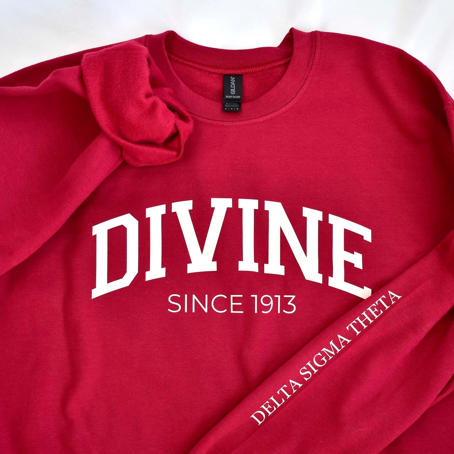 Delta Sigma Theta Sorority, Incorporated Sweatshirt- Divine and Sorority Name Design
