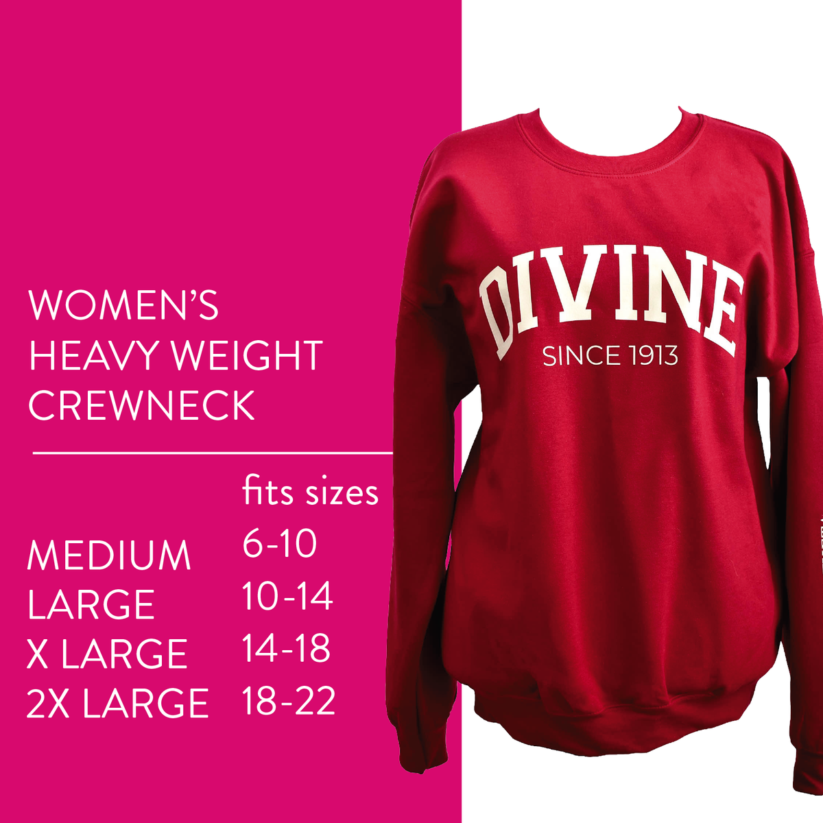 Sorority Shop Sweatshirt - Divine and Sorority Name Design