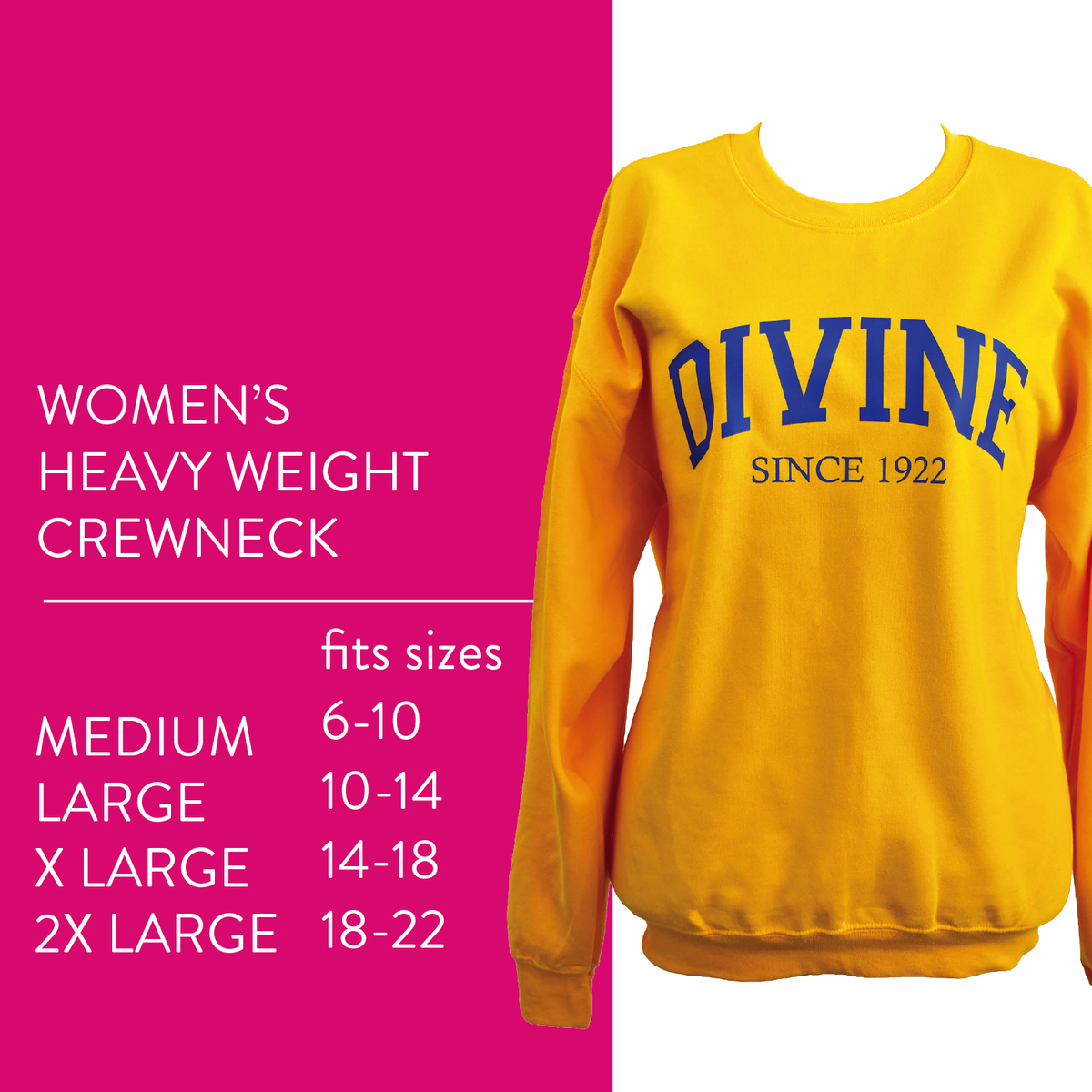 Sorority Shop Sweatshirt - Divine and Sorority Name Design