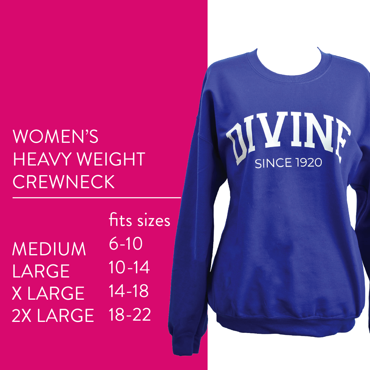 Sorority Shop Sweatshirt - Divine and Sorority Name Design