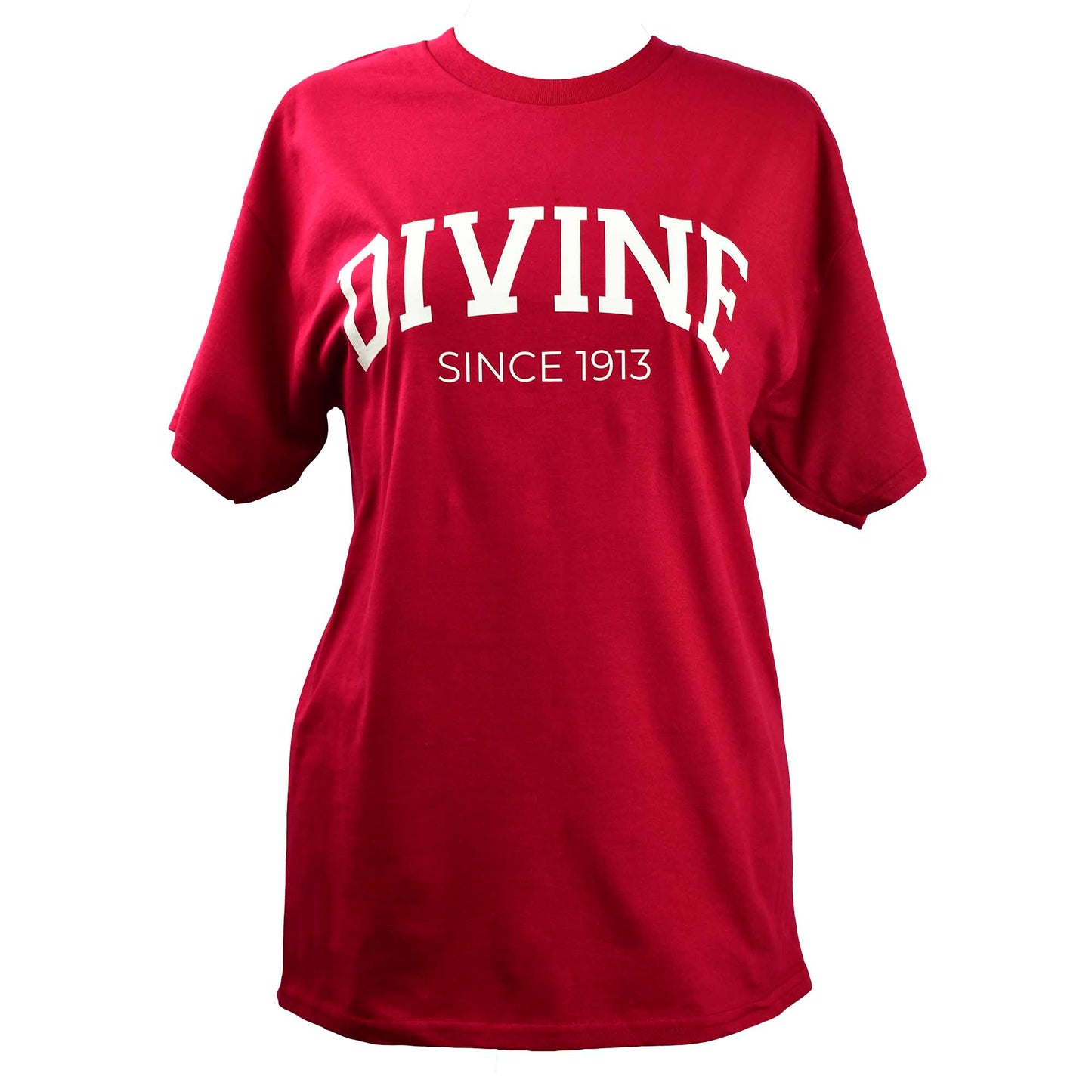Delta Sigma Theta Sorority, Incorporated T-Shirt- Divine and Sorority Name Design