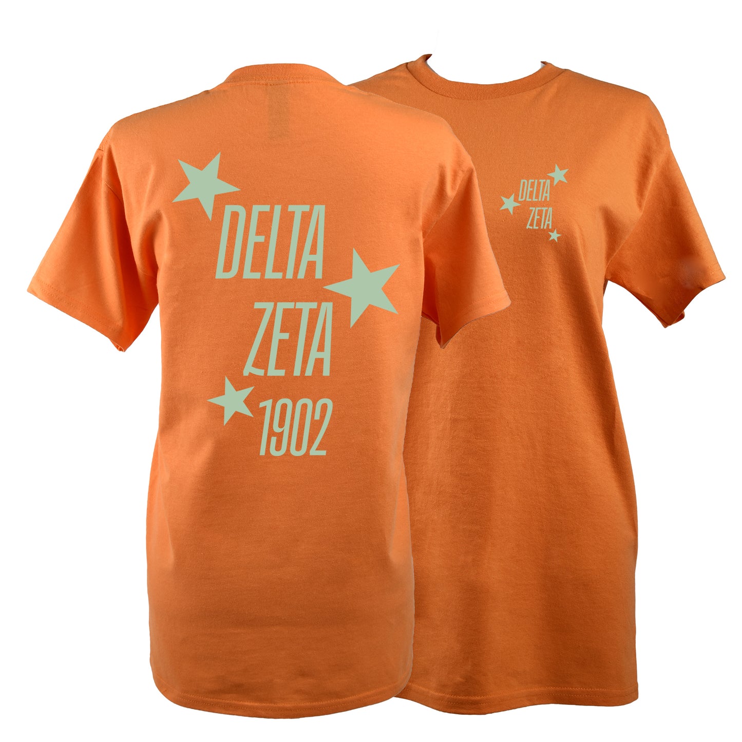 Delta Zeta T-Shirt- The Swifties Showgirl Design