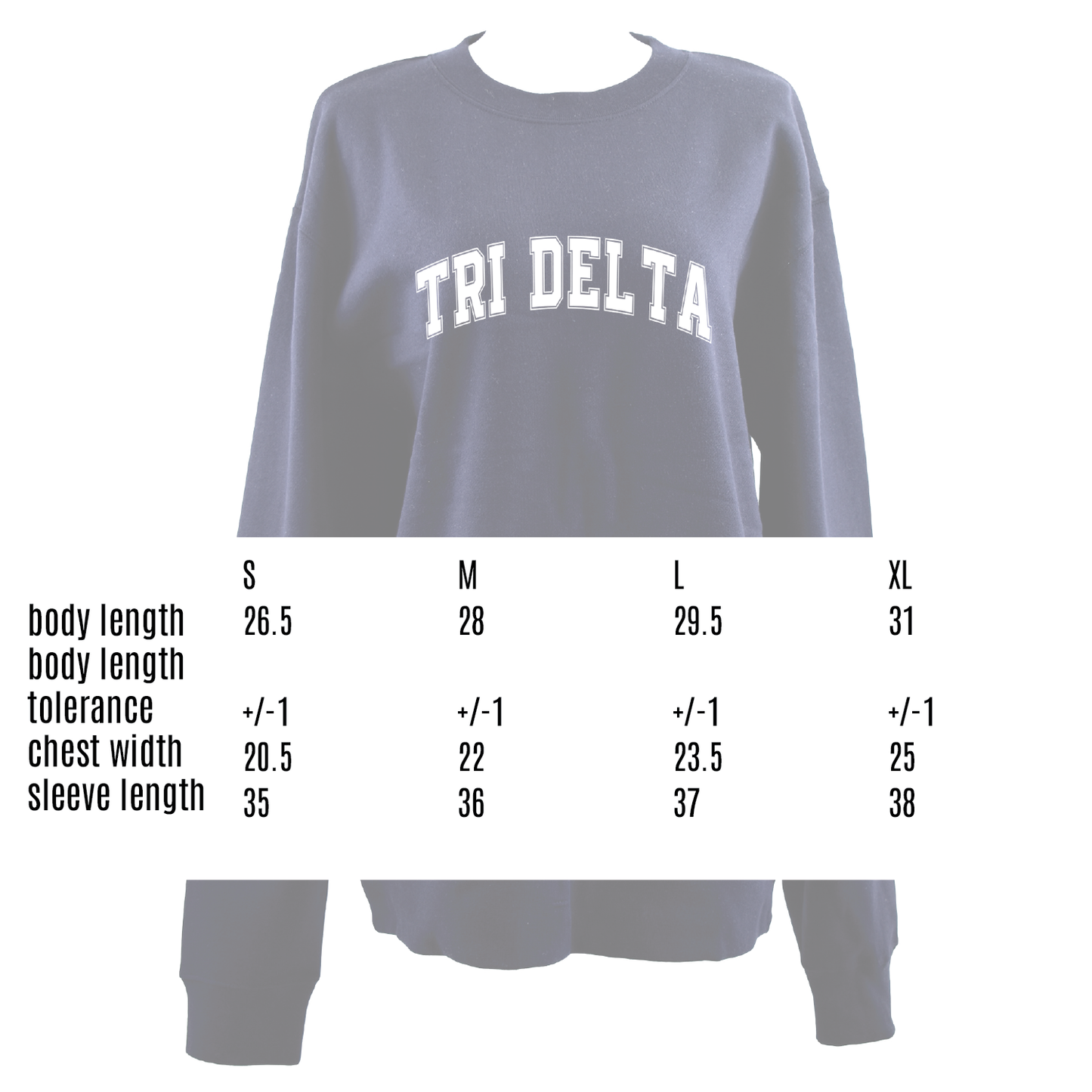 Delta Gamma Sweatshirt- Crewneck Varsity Letters Design