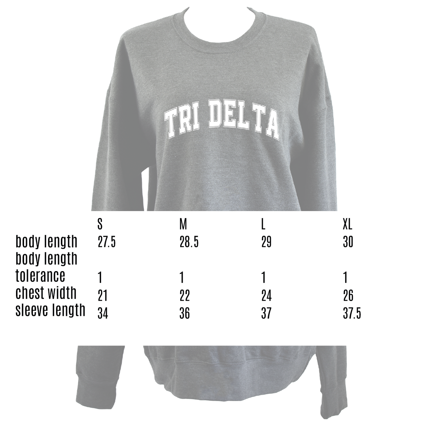 Alpha Omicron Pi Sweatshirt- Crewneck Varsity Letters Design
