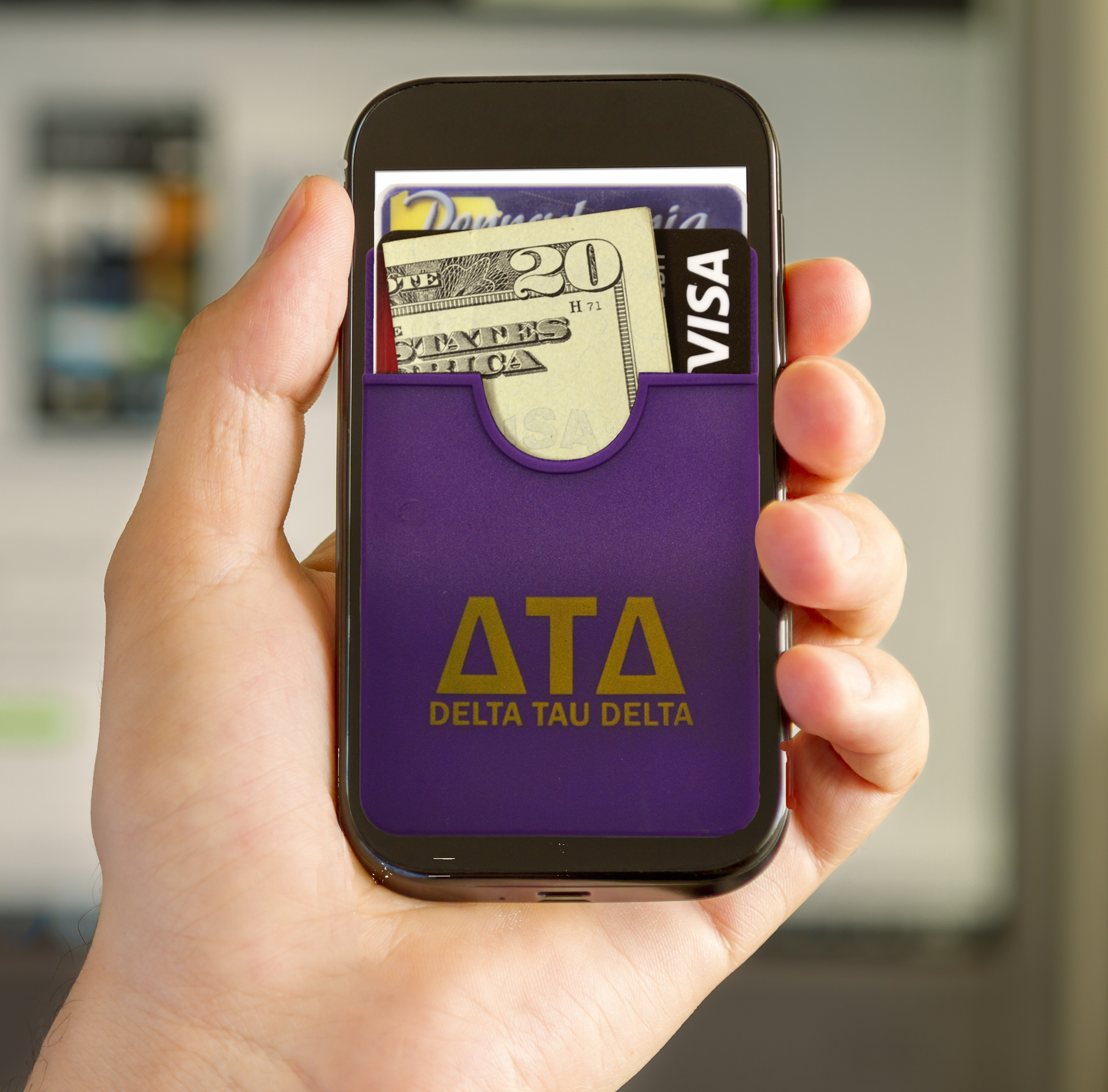 Original Delta Tau Delta Koala Pouch